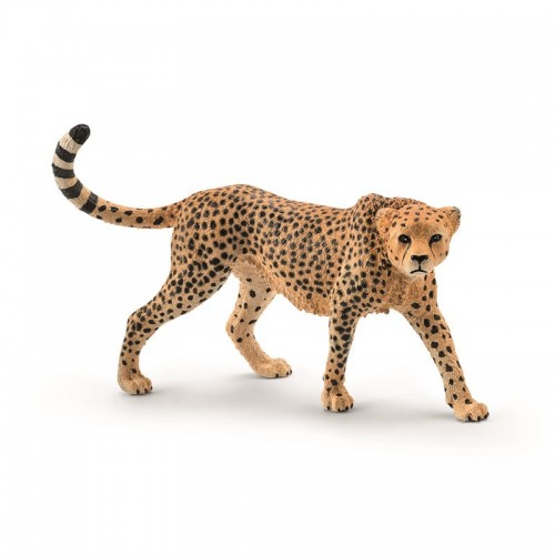 CHEETAH FEMALE 14746