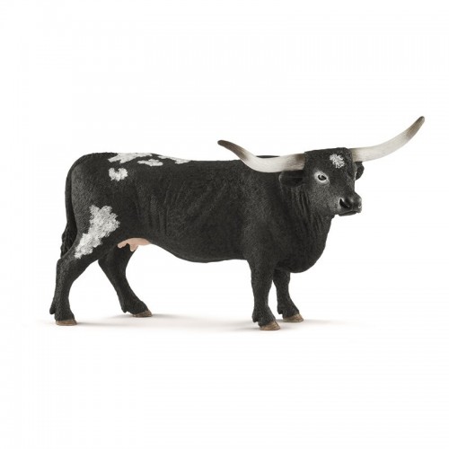 TEXAS LONGHORN COW 13865