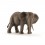 AFRIKANSK HUN ELEFANT 14761