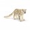 SCHLEICH SNE LEOPARD 14838