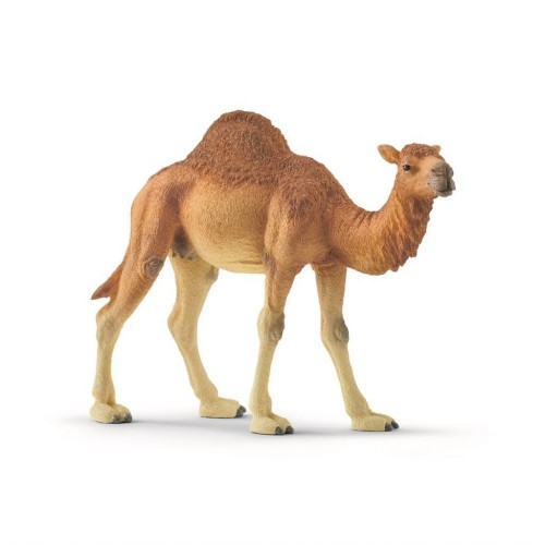 DROMEDAR 14832 SCHLEICH