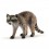 RACCOON 14828 SCHLEICH