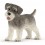 SCHNAUZER MINIATURE HUND 13892