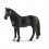 TENNESSEE WALKER VALLAK 13814