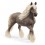 SILVER DAPPLE MARE 13917