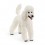 POODLE 13917