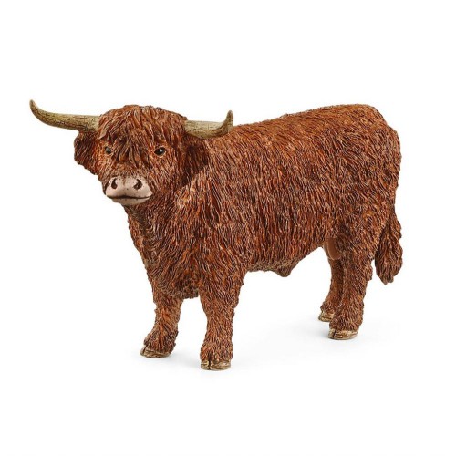 HIGHLAND BULL 13919