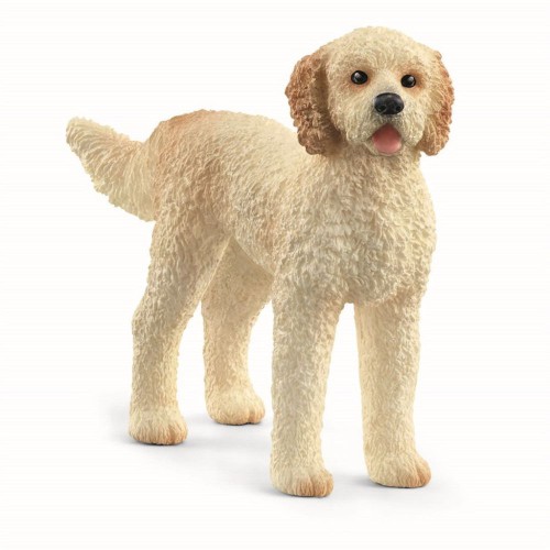 GOLDEN DOODLE 13939