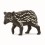 TAPIR UNGE 14851