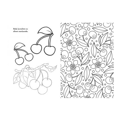 FRUGT & GRØNTSAGER MALEBOG