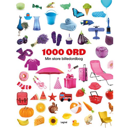 1000 ORD MIN STORE BILLEDORDBOG