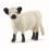 SCHLEICH GALLOWAY KO 13960