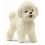 SCHLEICH BICHON FRISÉ 13963