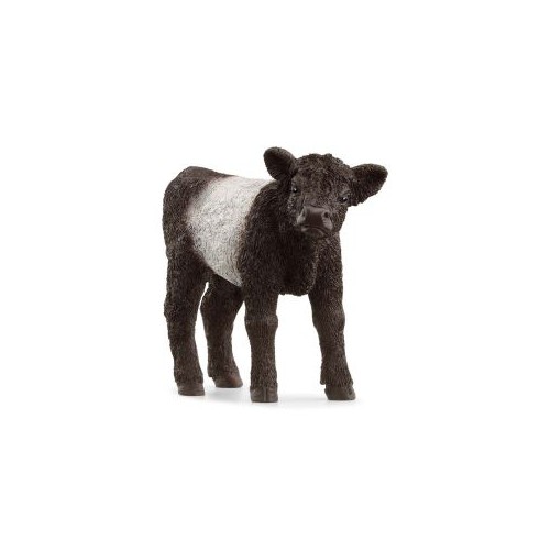 SCHLEICH GALLOWAY KALV 13969