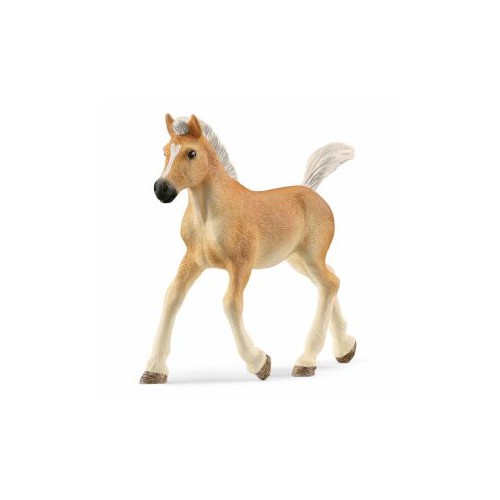 SCHLEICH HAFLINGER FØL