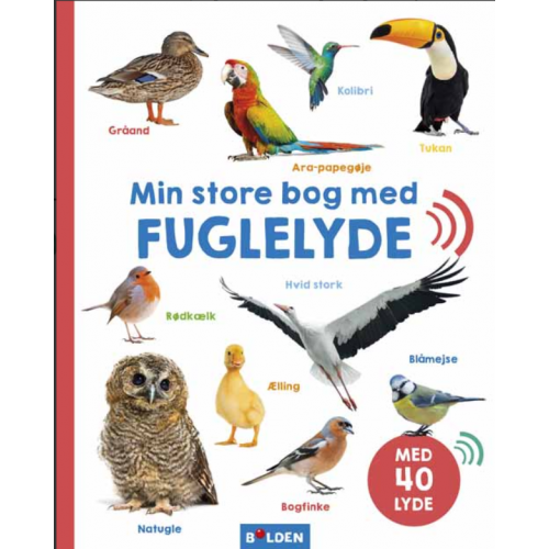 MIN STORE BOG MED FUGLELYDE