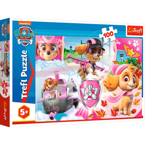 PAW PATROL 100 BRIK PUSLESPIL 16368