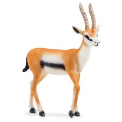 GAZELLE 14861