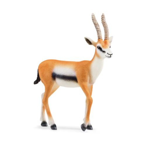 GAZELLE 14861