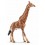 SCHLEICH GIRAF HAN 14749