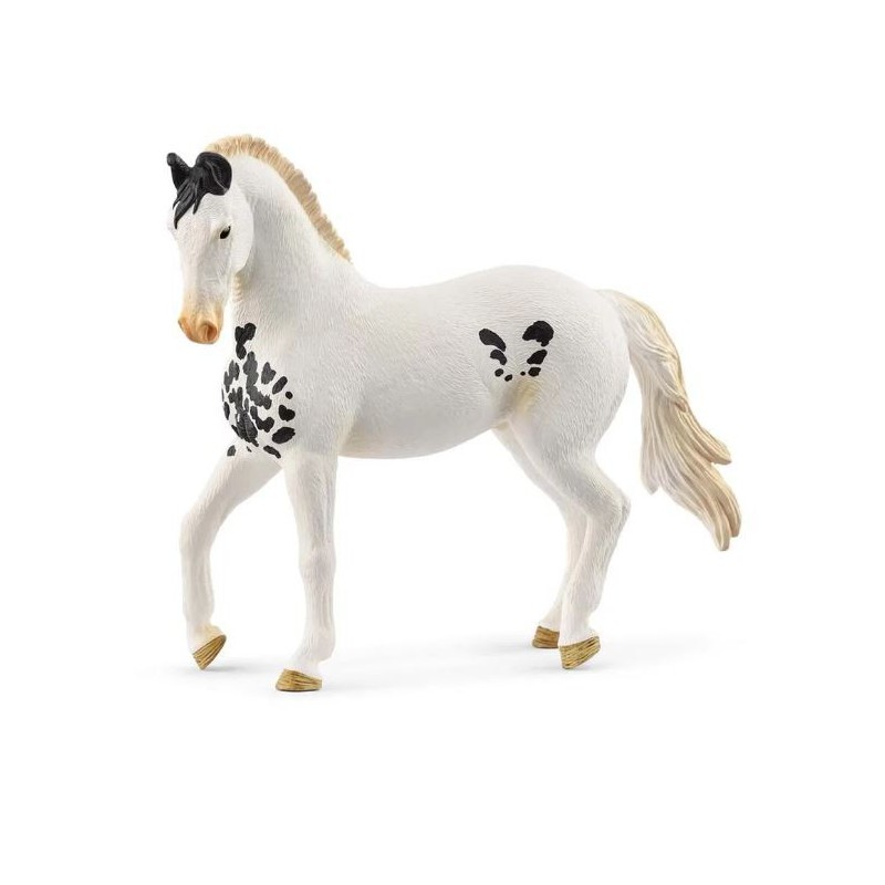 SCHEILCH MARWARI STALLION HEST 14898
