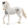 SCHEILCH MARWARI STALLION HEST 14898