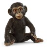 SCHLEICH CHIMPANSE UNGE 14884