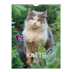 VÆGKALENDER KATTE 2026