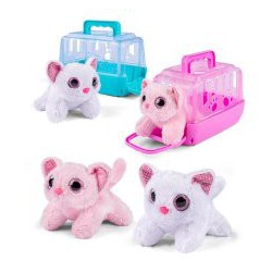 KAT I CARRY BOX 63419