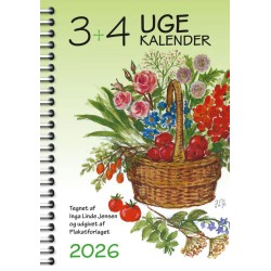 3+4 Ugekalender 2026
