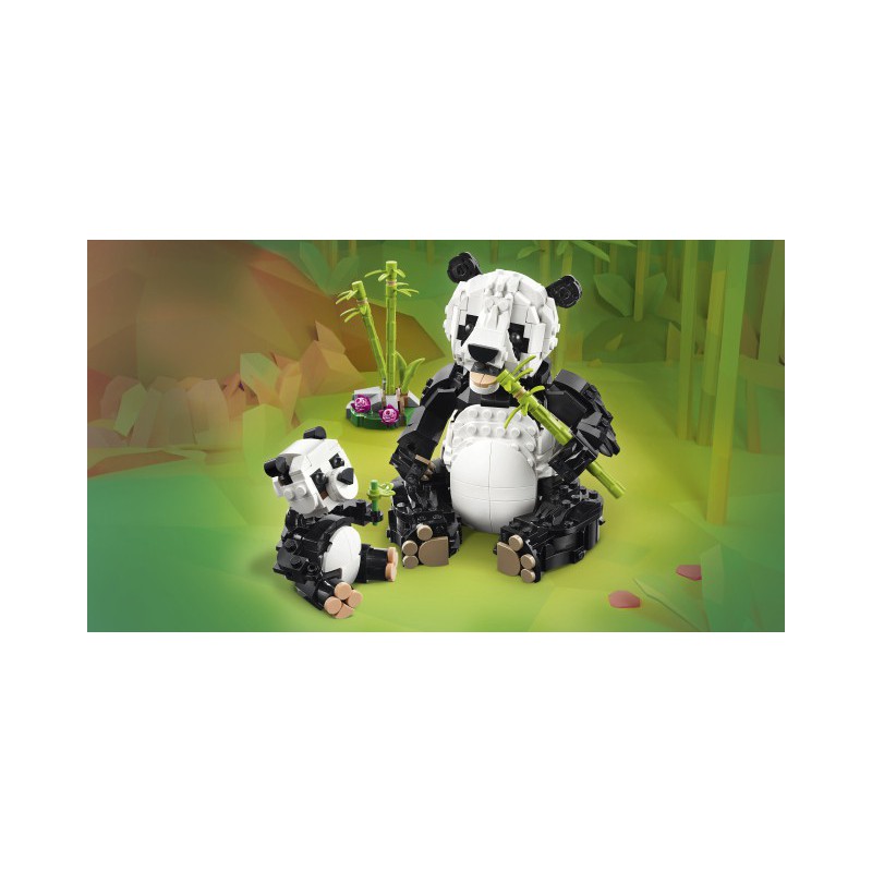 31165 Pandafamilie