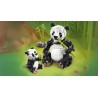 31165 Pandafamilie