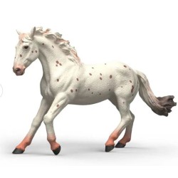 Den smukke knabstrupper-hoppe med det iøjnefaldende pelsmønster tiltrækker sig alles opmærksomhed.