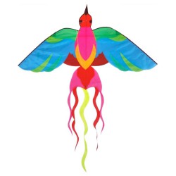 Flot farverig Falcon drage