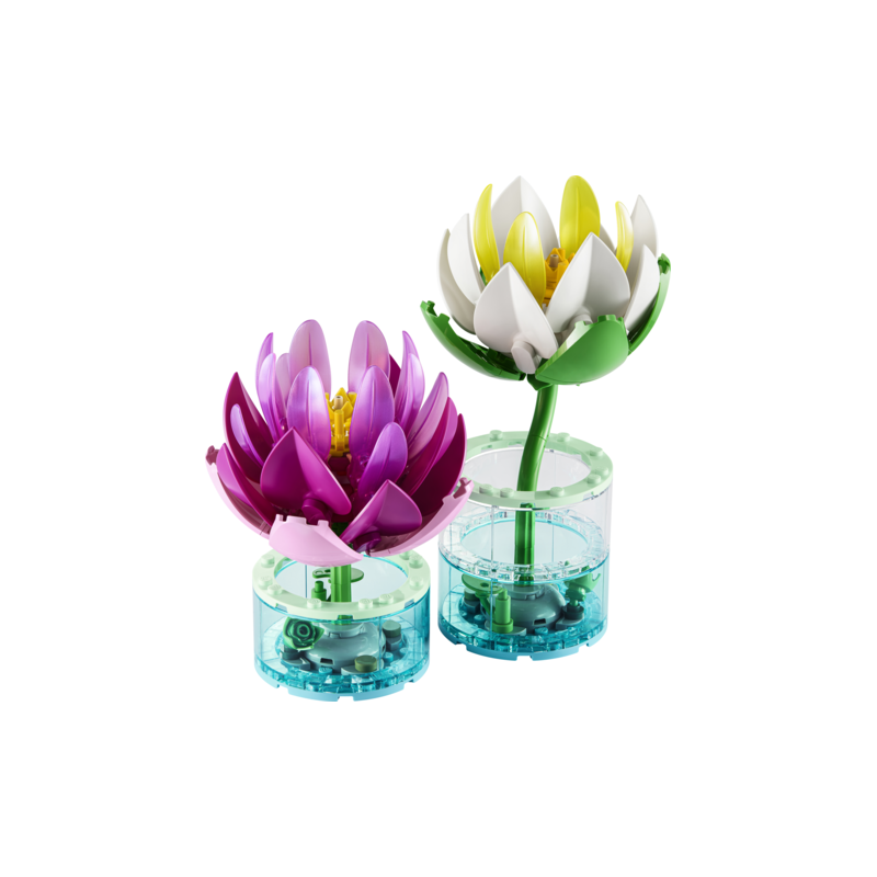 Water lilies