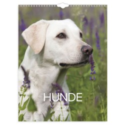 Mayland Vægkalender Hunde 2027 med flotte billeder af hunde og månedlig kalenderoversigt.