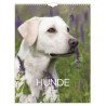 Mayland Vægkalender Hunde 2027 med flotte billeder af hunde og månedlig kalenderoversigt.