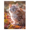Mayland Vægkalender Katte 2027 med flotte billeder af katte og månedlig kalenderoversigt.