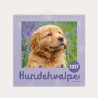 Mayland Vægkalender Mini Hundehvalpe 2027 med sødt billede af en hundehvalp.