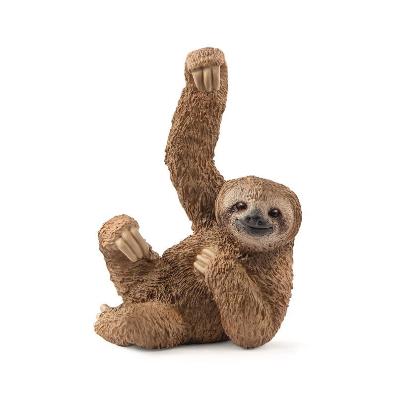 14793 SLOTH
