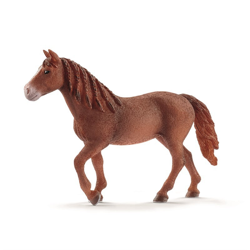 MORGAN MARE HEST 13870