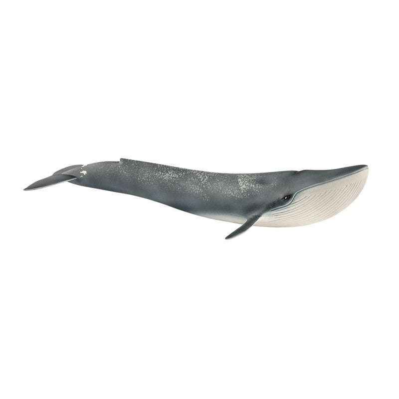 BLÅ HVAL 14806 SCHLEICH