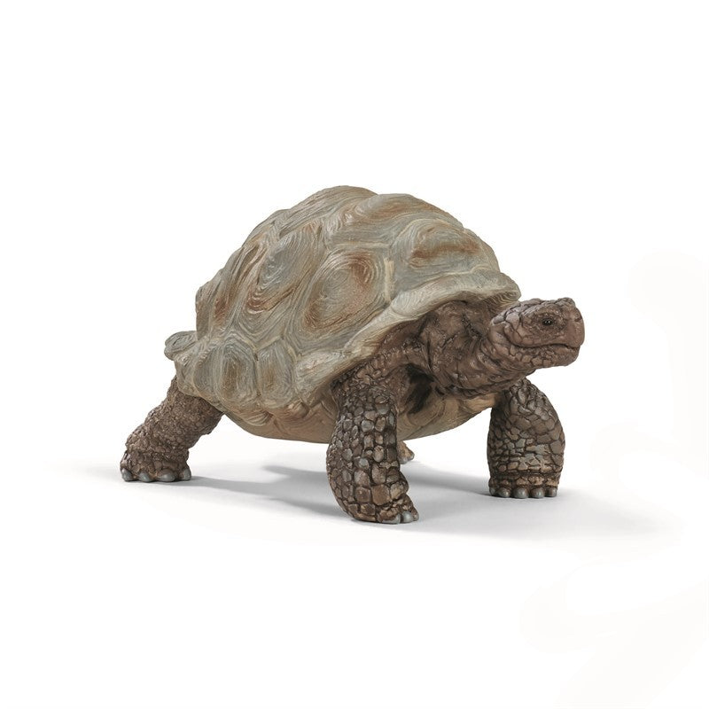 STOR SKILDPADDE 14824 SCHLEICH
