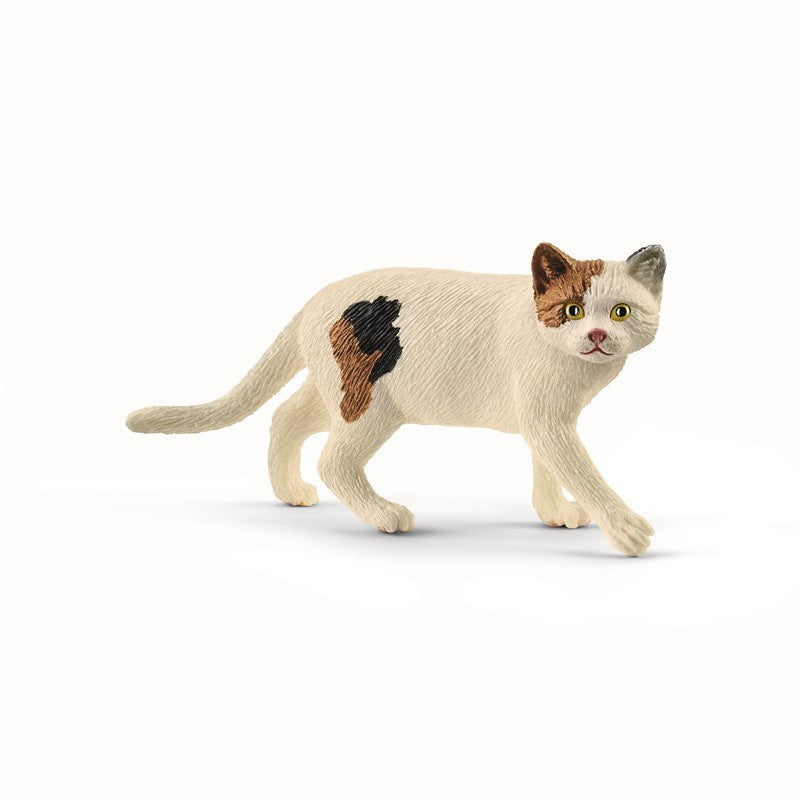 BROGET KAT13894