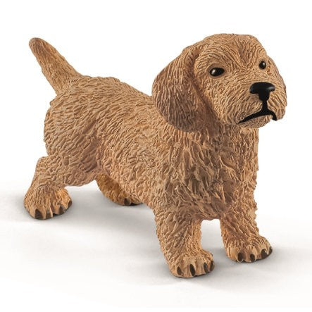 DACHERHUND 13891