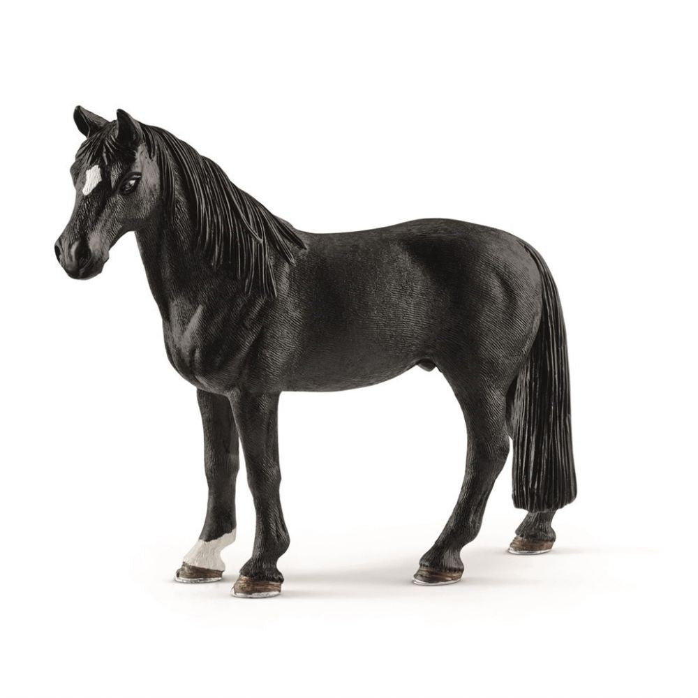 TENNESSEE WALKER VALLAK 13814
