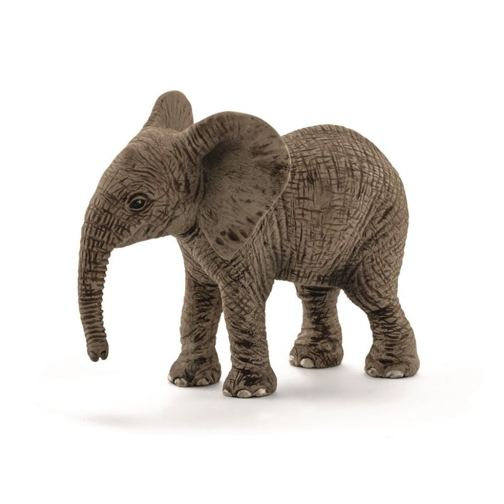 AFRICAN ELEFANT CALF 14763