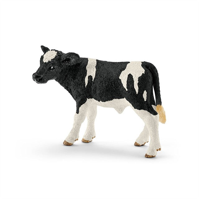 HOLSTEIN KALV 13798
