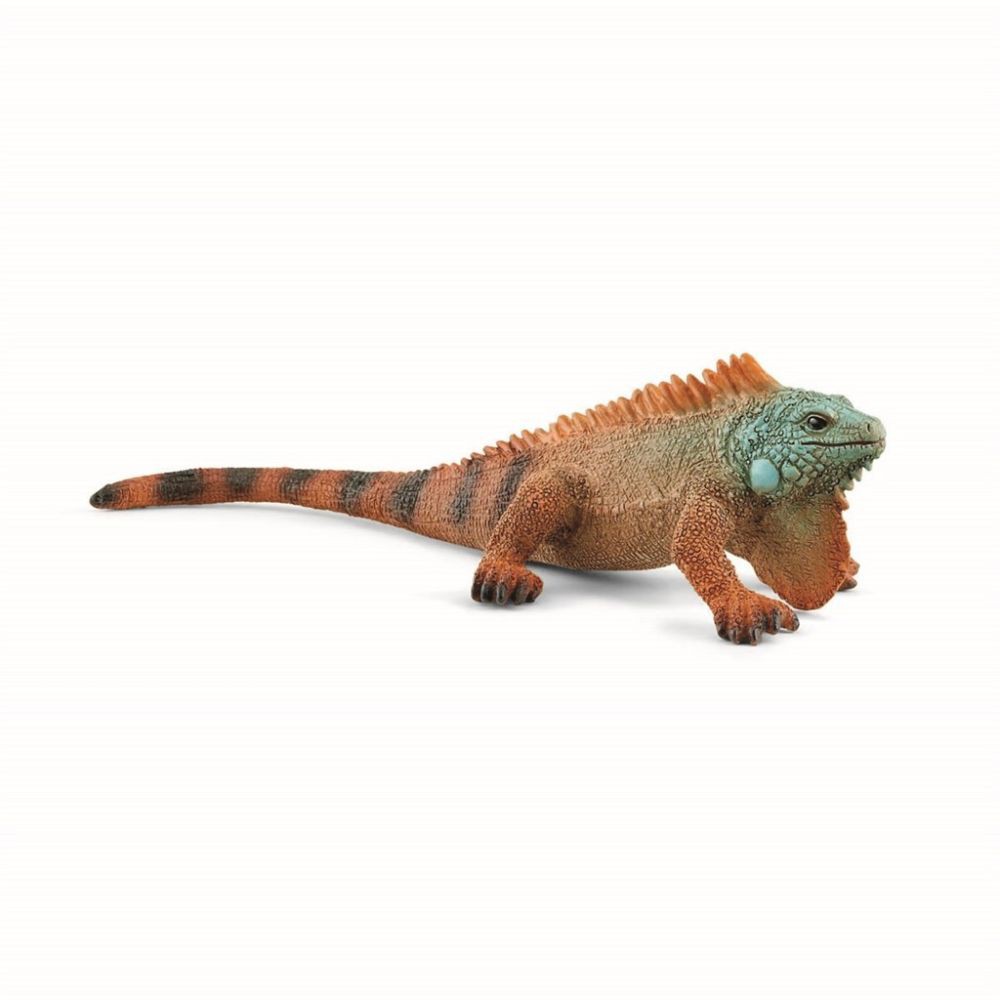 LGUANA 14854