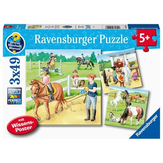 PUSLESPIL 3X49BRIK EN DAG I STALDEN